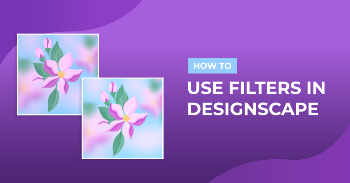 How to Use Filters in DesignScape